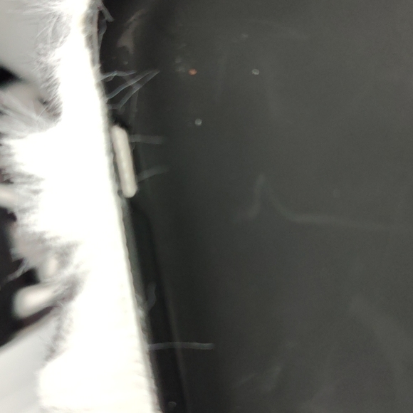 Zebra fur iPhone 11 rhinestone phone case - Picture 5 of 6